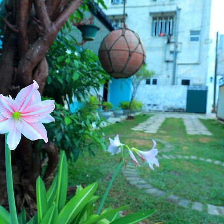 Hotel The Duchess Old Matara Exterior foto